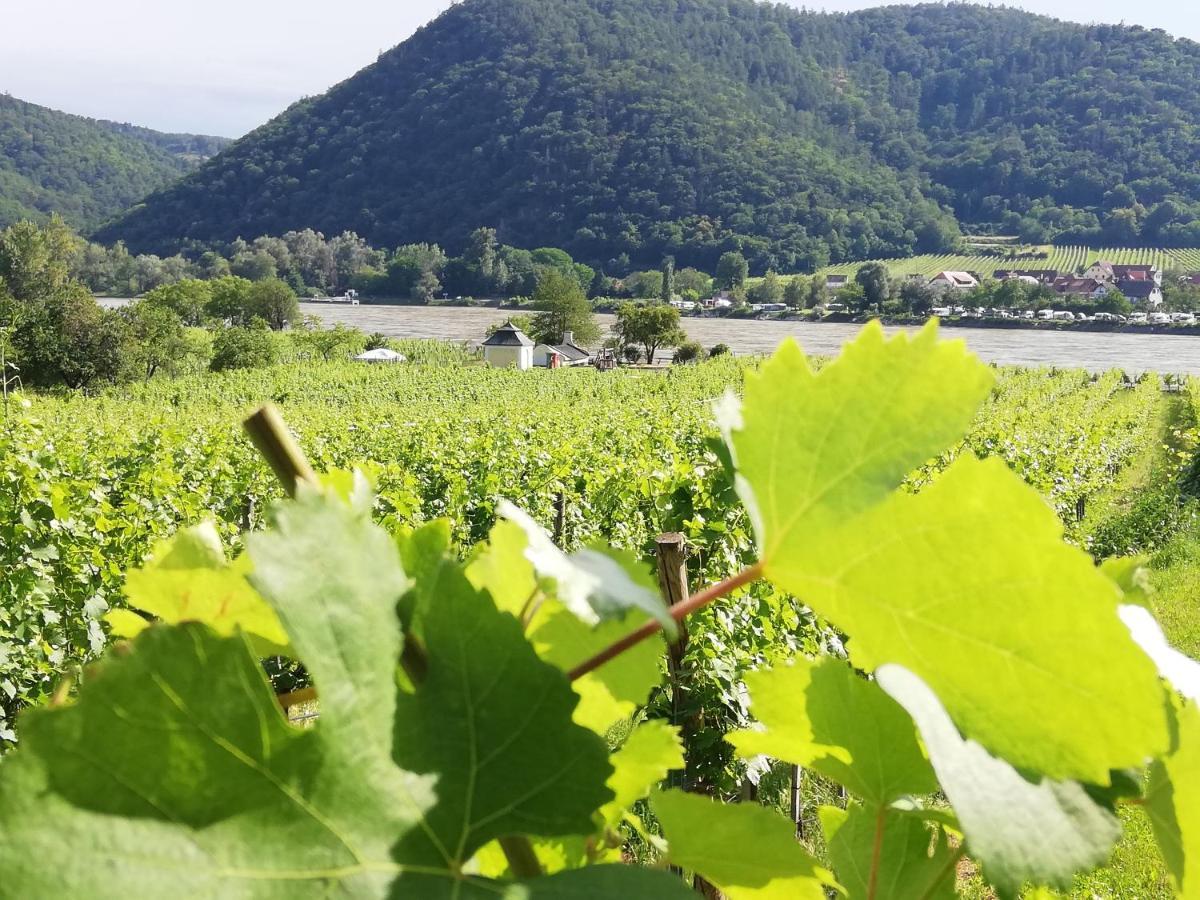 Feriendomizil Wachau Daire Habruck Dış mekan fotoğraf